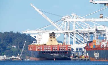 Oakland, Ca - 21 Ocak 2019: Kargo Gemisi Msc Branka ABD 'nin en işlek beşinci limanı Oakland Limanı' nda yükleniyor.