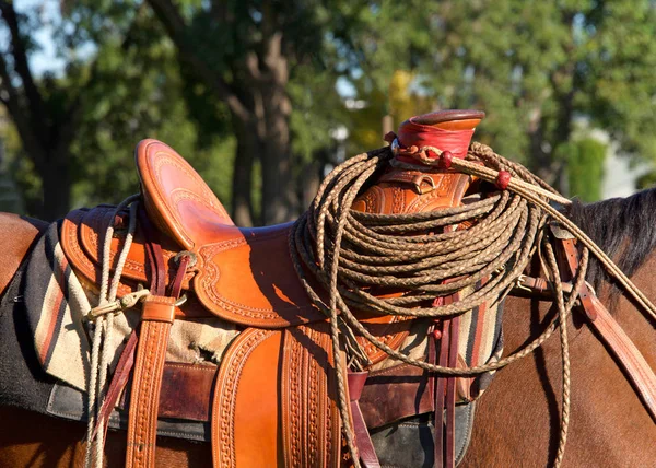 鞍の角でカールカウボーイロープのラッソと茶色の馬の鞍に閉じます 背景に緑の木 — ストック写真