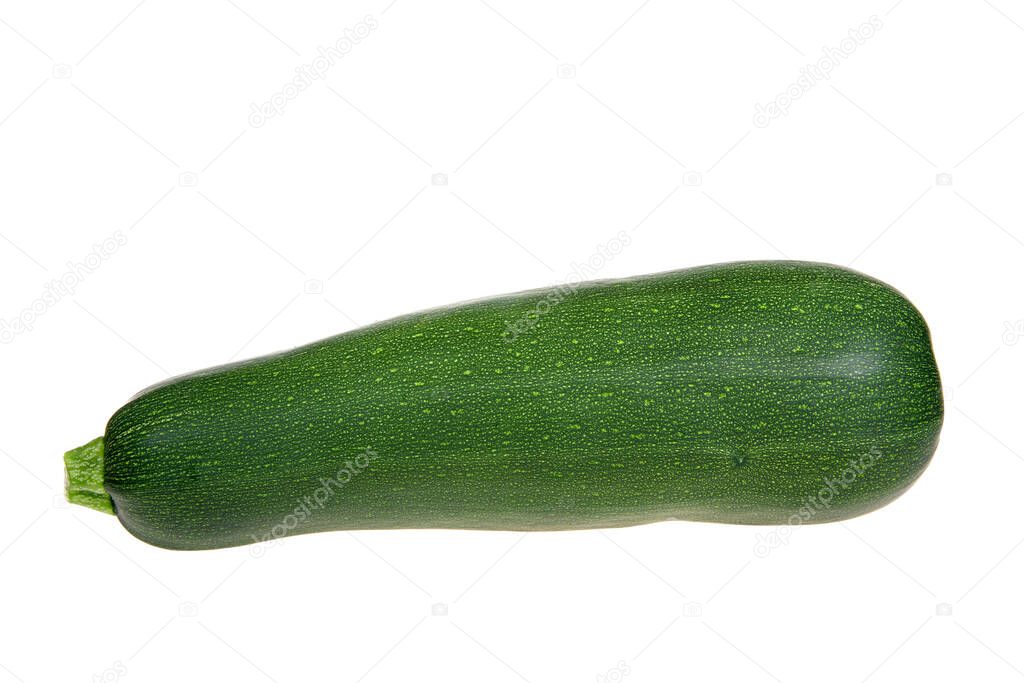 Very large home grown freshly picked zuchinni squash isolated on white background.