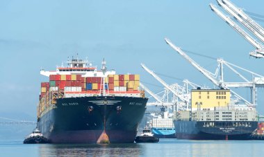 Oakland, CA - 7 Ağustos 2020: ABD 'nin en işlek beşinci limanı olan Oakland Limanı' na giren Kargo Gemisi MSC RANIA.