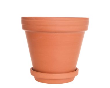 Boş bir terra cotta tenceresine yakın, beyaz tencereye izole edilmiş..