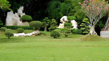 Çim taşları ve ağaçlar güzel park 