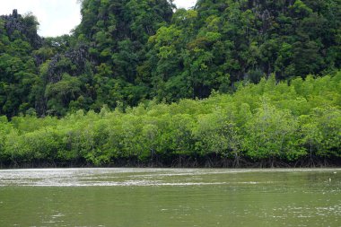 Farklı ve güzel, ıssız adalar Denizi Tayland
