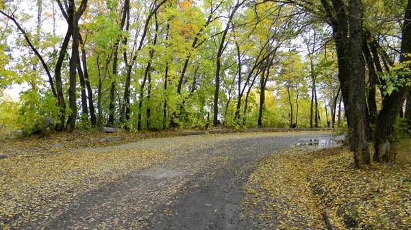 Egy ilyen road, utazáshoz, bárhol — Stock Fotó