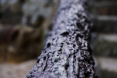 Adalarda ahşap raylı 