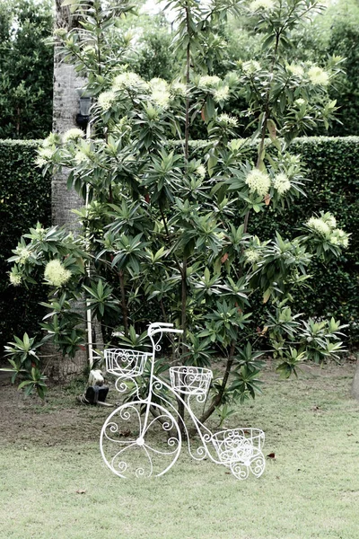 Cykel i park inredning — Stockfoto