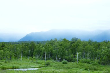 İhtişam ve güzelliğini Baykal, orman nehir ve dağ dağ