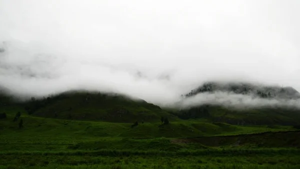 De pracht en de schoonheid van de berg Altaj, bos rivier en bergen — Stockfoto
