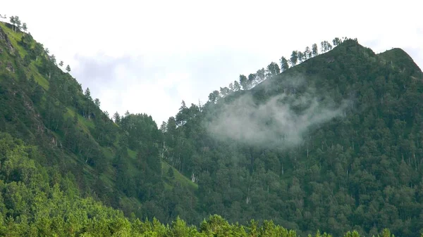 La magnificenza e la bellezza della montagna Altai, fiume foresta e montagne — Foto Stock