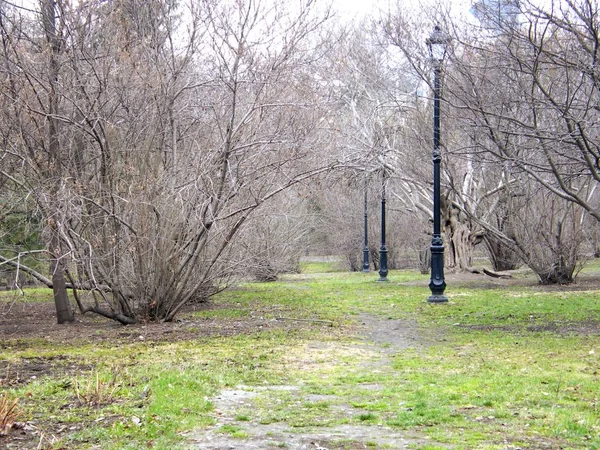 Schöner Park mit Rasensteinen und Bäumen — Stockfoto