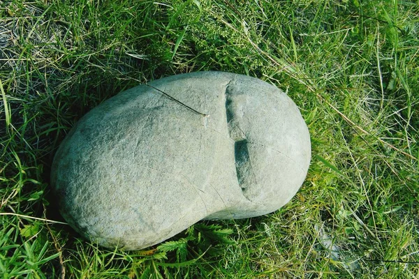 Stone in the wild, hard and cold — Stock Photo, Image