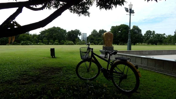 Touristenfahrrad mit Korb steht im Park — Stockfoto