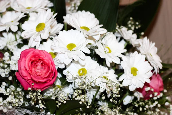 Bouquet of daisies and roses Stock Picture