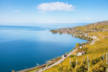 Yüksek açılı manzara, Ekim ayında Lozan 'da göl kıyısında bir üzüm bağı. İsviçre, Cenevre Gölü 'nün kuzey kıyısında.