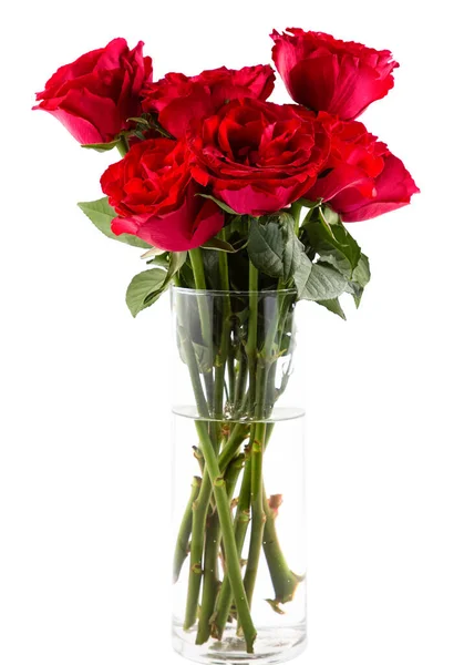 Rose Red Flower Vase Isolated Valentine Day Wedding White Background Stock Image