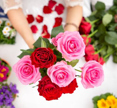 Kırmızı ve pembe gülleri budamaya hazırlanan bir kadın ve evdeki güzel çiçek aranjmanları, masadaki aile içinde Sevgililer Günü ve İş için vazo ile çiçek aranjmanları.