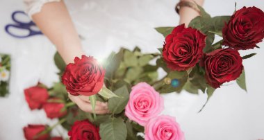 Kırmızı ve pembe gülleri budamaya hazırlanan bir kadın ve evdeki güzel çiçek aranjmanları, masadaki aile içinde Sevgililer Günü ve İş için vazo ile çiçek aranjmanları.