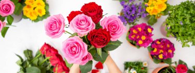 Kırmızı ve pembe gülleri budamaya hazırlanan bir kadın ve evdeki güzel çiçek aranjmanları, masadaki aile içinde Sevgililer Günü ve İş için vazo ile çiçek aranjmanları.