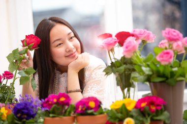 Kırmızı ve pembe gülleri budamaya hazırlanan kadın ve evdeki güzel çiçek aranjmanları Sevgililer Günü için vazoyla çiçek aranjmanları ve masada aile içi hediyeler.