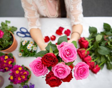 Kırmızı ve pembe gülleri budamaya hazırlanan bir kadın ve evdeki güzel çiçek aranjmanları, masadaki aile içinde Sevgililer Günü ve İş için vazo ile çiçek aranjmanları.