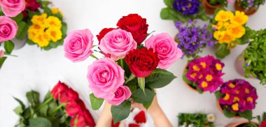 Kırmızı ve pembe gülleri budamaya hazırlanan bir kadın ve evdeki güzel çiçek aranjmanları, masadaki aile içinde Sevgililer Günü ve İş için vazo ile çiçek aranjmanları.