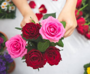 Kırmızı ve pembe gülleri budamaya hazırlanan bir kadın ve evdeki güzel çiçek aranjmanları, masadaki aile içinde Sevgililer Günü ve İş için vazo ile çiçek aranjmanları.