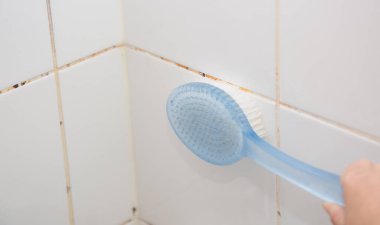 Duş odasındaki duvarın küf ya da mantarı, sıcak su ve bakteri birikintisinin neden olduğu siyah ya da kahverengi küf kalıbına neden oluyor..