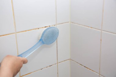 Duş odasındaki duvarın küf ya da mantarı, sıcak su ve bakteri birikintisinin neden olduğu siyah ya da kahverengi küf kalıbına neden oluyor..