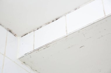 Duş odasındaki duvarın küf ya da mantarı, sıcak su ve bakteri birikintisinin neden olduğu siyah ya da kahverengi küf kalıbına neden oluyor..