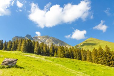 Gantrischseeli 'nin İsviçre doğa parkındaki manzara manzarası, dağların arasında bir nehir bulunan doğal manzara. Yaz gökyüzünde açık bir günde, seyahat ve tatil için.