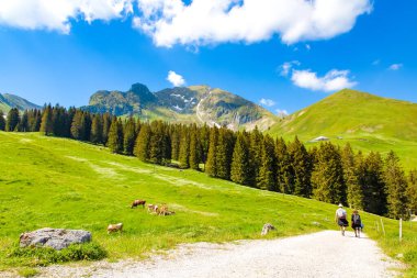 Gantrischseeli 'nin İsviçre doğa parkındaki manzara manzarası, dağların arasında bir nehir bulunan doğal manzara. Yaz gökyüzünde açık bir günde, seyahat ve tatil için.