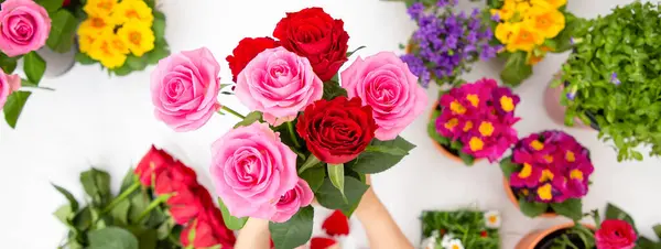 Kırmızı ve pembe gülleri budamaya hazırlanan bir kadın ve evdeki güzel çiçek aranjmanları, masadaki aile içinde Sevgililer Günü ve İş için vazo ile çiçek aranjmanları.