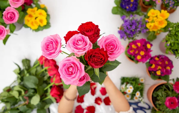 Kırmızı ve pembe gülleri budamaya hazırlanan bir kadın ve evdeki güzel çiçek aranjmanları, masadaki aile içinde Sevgililer Günü ve İş için vazo ile çiçek aranjmanları.