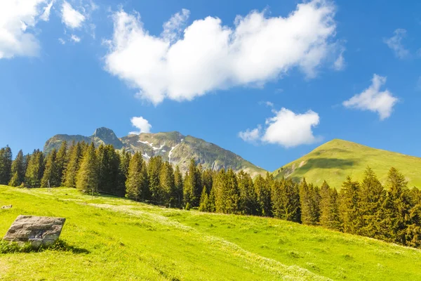 Gantrischseeli 'nin İsviçre doğa parkındaki manzara manzarası, dağların arasında bir nehir bulunan doğal manzara. Yaz gökyüzünde açık bir günde, seyahat ve tatil için.