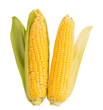 Beyaz arka planda izole edilmiş ahşap bir kasede yapraklı taze mısır ve mısır taneleri..
