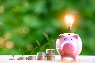 Mutlu Pembe Piggy Bankası ve Ampulü yakın planda ve madeni paralar arka planda, fikirleri ve yatırım bütçesini biriktirme, iş tasarruf konsepti, yer kopyalama