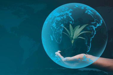 Toprakta yeşil yapraklar olan küçük yeni ağaçlar ya da yapraklar, doğanın çevresi, ağaç dikerek küresel ısınmayı azaltmak, Dünya Günü kavramlarını...