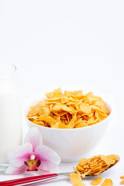 Natural corn flake breakfast cereal in cups and milk is a healthy breakfast that is good for your body every day on a white background.
