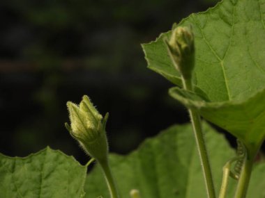 Yeni bir hayata başladım..