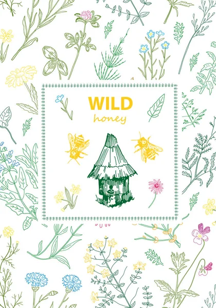 Frames with honey bee, hive, herbs and wild flowers. Stock Illustration
