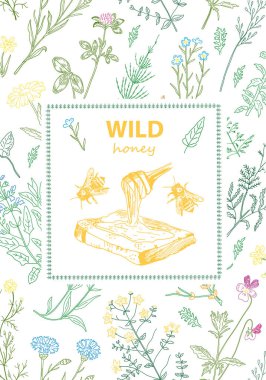 Bal arısı, kovan, otlar ve kır çiçekleri ile kare.