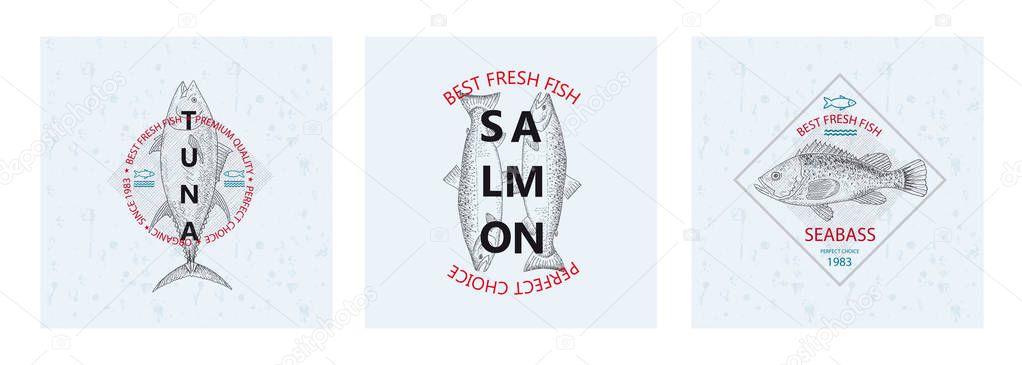 Best fresh fish Tuna, Salmon, Seabass. Vector illustration emblem or logo template. Vintage design with hand drawn sketch. Line art style.