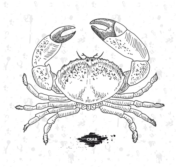 Il miglior granchio fresco. Frutti di mare. emblema illustrazione vettoriale — Vettoriale Stock