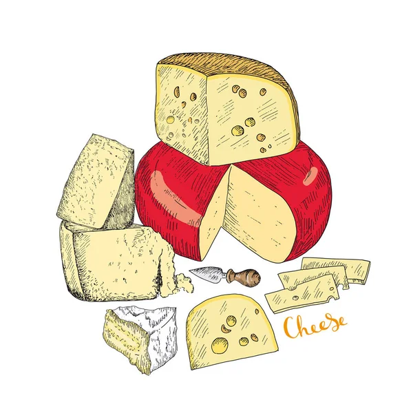 Plusieurs types de fromage ensemble. Croquis vectoriels dessinés à la main — Image vectorielle