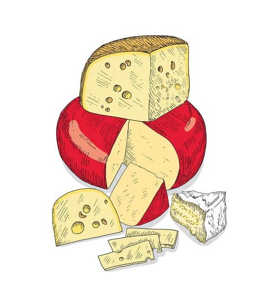 Vários tipos de queijo juntos. Desenhos vetoriais desenhados à mão — Vetor de Stock