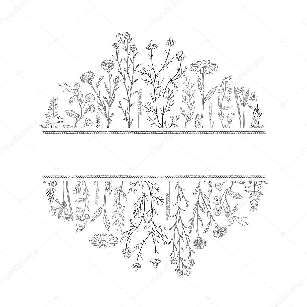 Hand drawn herbs and flowers background and place for text.