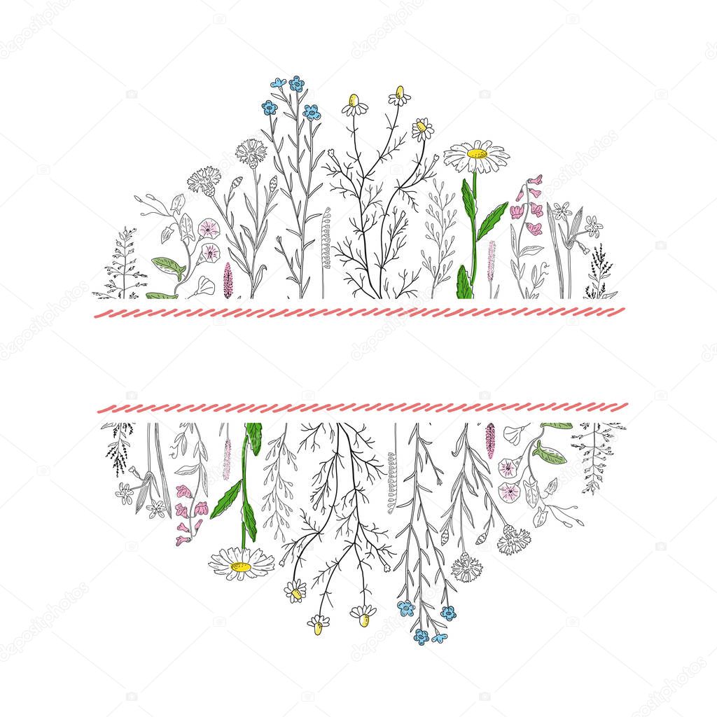 Hand drawn herbs and flowers background. Place for text.