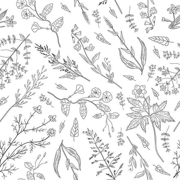 Ervas desenhadas à mão e flores silvestres sobre fundo branco . — Vetor de Stock