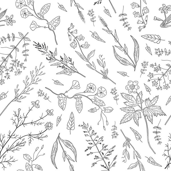 Ручные травы и дикие цветы на белом фоне
.