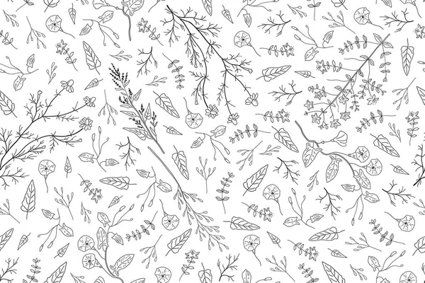 Elle çizilmiş otlar, yabani çiçek yaprakları beyaz arka plan üzerinde.